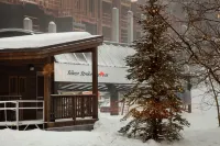 NEW Gorgeous Luxury Ski-in/Out Deer Valley. Pool, Gym, Ski Valet.