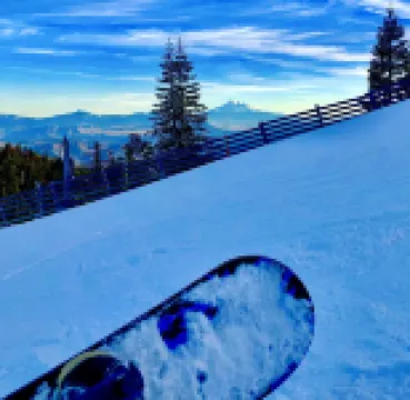 Oberon -Second Spring Property 1-3 Bedroom Luxury Rentals In Downtown Ashland