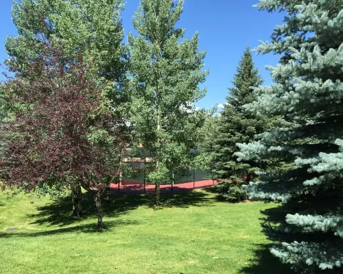 Home for 22, Ski Shuttle, Hot Tub, Pool, Dog OK Tennis/Pickleball/Pool Table Hotels in Edwards