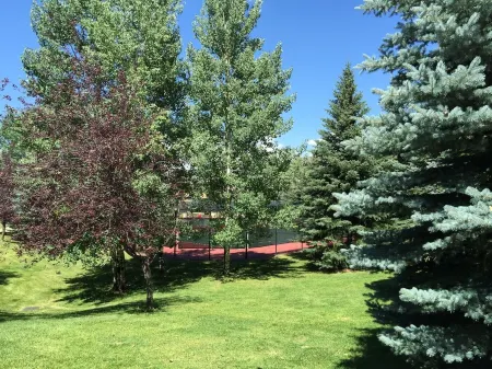 Home for 22, Ski Shuttle, Hot Tub, Pool, Dog OK Tennis/Pickleball/Pool Table