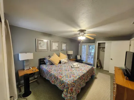 Fabulous Mid-Century Modern 3 Bedroom with King Master Suite