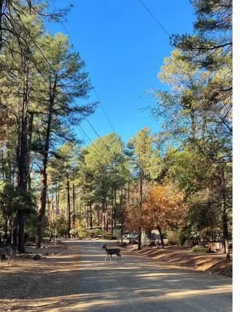 Welcome to Red Pine Retreat, your mountain getaway!