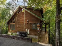 Bear Necessities Hotel di Sevier County