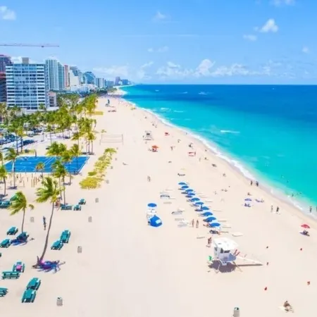 Beautiful Oasis in Fort Lauderdale