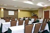 芝加哥內珀維爾/沃倫維爾SpringHill Suites酒店