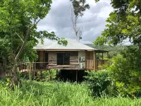 The Blue Mahoe Treehouse Hotels near St. Ann's Bay Library