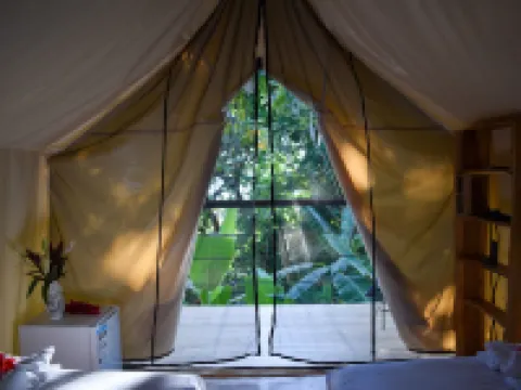 Bohemia Experience Hotels in Cobano