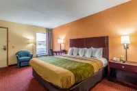 Econo Lodge Hotels in Campbell County