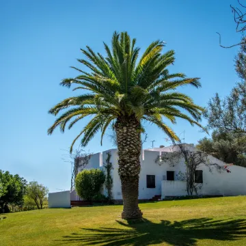 Pedras d'El Rei