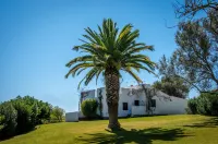 Pedras d'El Rei