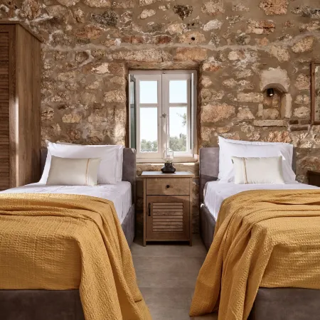 Dounias Village Home - Traditional Architecture & Modern Luxury, by ZanteWize Hotels in Elation