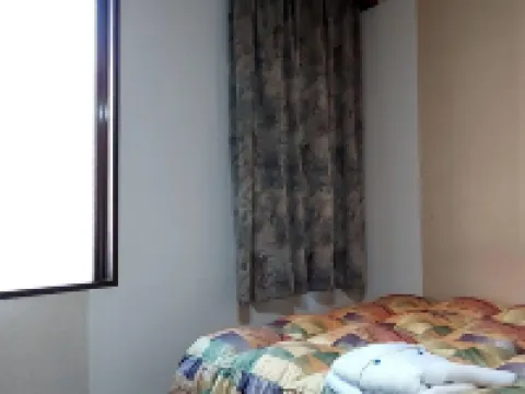 ビジネスホテル ナイスイン三原 三原のホテル