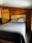 Cozy Modern Cabin