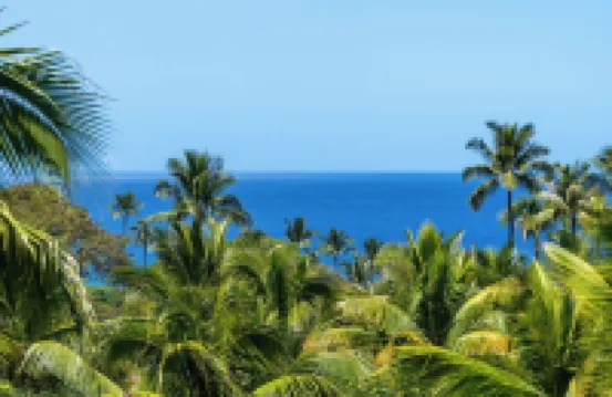 I.P.M PRESENTS: HOOLEI 81-4: AMAZING NEW REMODEL!! FLEXIBLE CANCELATION POLICY
