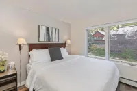 Ski in/Out Access and Hot Tub - Stunning Mountain Retreat Hotels in Telluride