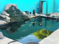 The Palace with private hot tub, sauna & fitness room.