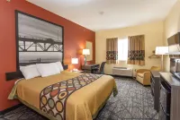 Super 8 by Wyndham Big Rapids - Motels