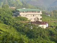 7 Malai Residency Munnar 물라카다이 호텔