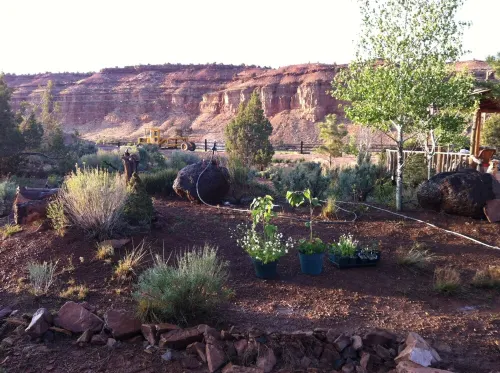 Pine cabin / Drk Sky / Wi-Fi / Dog Ok / Quiet