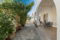 3821 Vbr - Mono Rosa by Barbarhouse