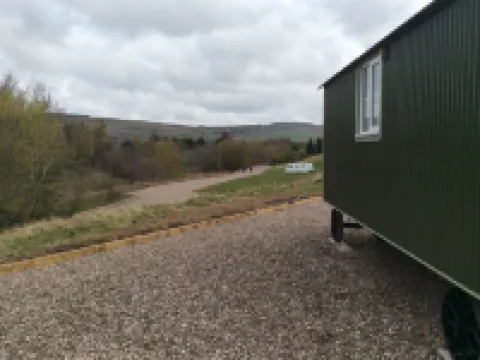 フォレスターシート グランピング