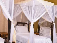 Burka Coffee Lounge Hotels in Arusha