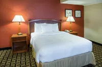 Extended Studio Suites Hotel- Bossier City - Cho phép mang theo thú cưng