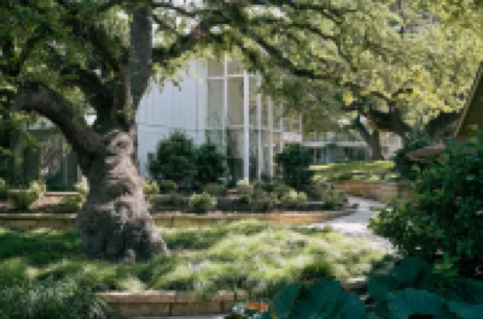 Stagecoach Inn Formerly Shady Villa