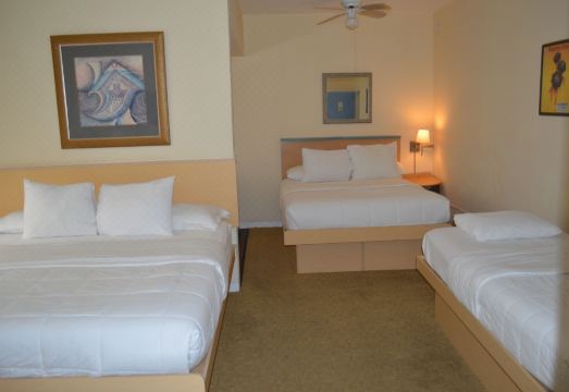 5. 아일랜드 하우스..