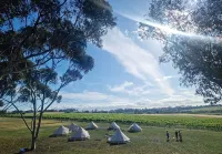 Coastal Glamp - Holiday Parks