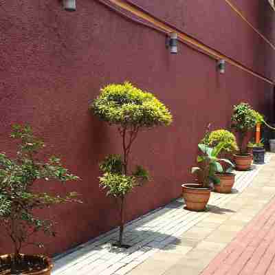 Wir 飯店 Hotel Exterior