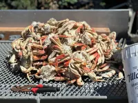 Raines Resort Cabins & RV Hotels in Pacific City