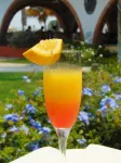 Hotel Rosita - Quầy Bar