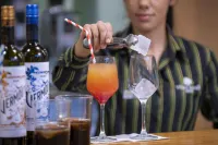 聖希拉里薩卡爾姆維拉爾鄉村飯店 - 酒吧