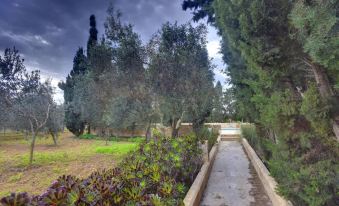 Ta' Bertu Host Family Bed & Breakfast