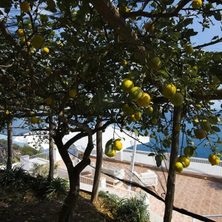 Villa Orleans