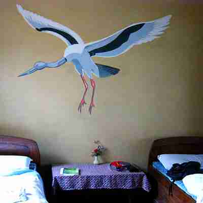 Island Jungle Resort Rooms