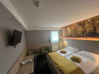 Hotel Alpina - spa