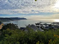 Albatross Guest House Hotels in Simon's Town
