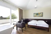 Hôtel Glanis Hotels in Rolle