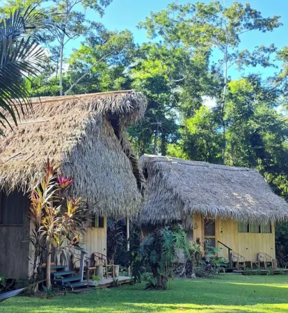 Creekside Oasis Отели в г. Пунта-Горда