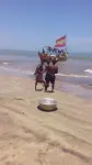 Abuesi Beach Resort - Beach