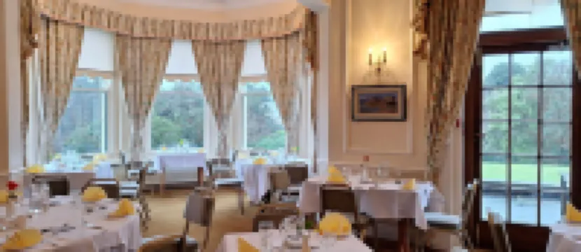 艾尼斯金鄉村別墅酒店 紐卡斯爾酒店