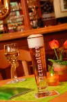Hotel Zur Burg Sternberg - bar
