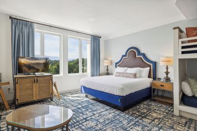 Other Dollywood's DreamMore Resort Photo