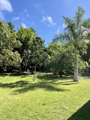 Dawson’s Hideaway Hotels in Nassau