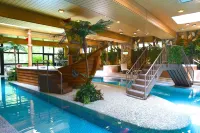Karuizawakurabu Hotel 1130 Hewitt Resort - Pools