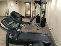 Quality Inn Near Pimlico Racetrack Hotels in Pikesville