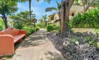 Tropical Gardens