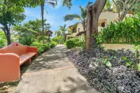 Tropical Gardens
